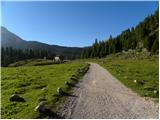 Rifugio Pederü - Lago di Limo